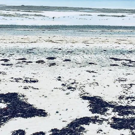 Nid Perche Sur La Plage Donville-les-Bains