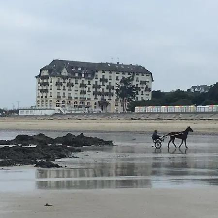 Nid Perche Sur La Plage *