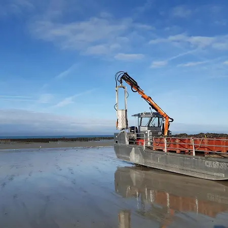 Nid Perche Sur La Plage Donville-les-Bains