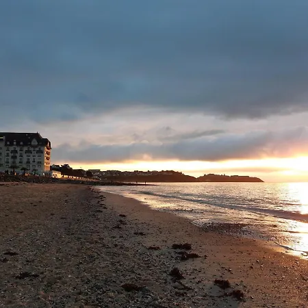 Nid Perche Sur La Plage